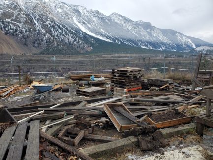 Clearing Patio Space Jan2021