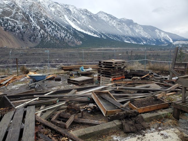 Clearing Patio Space Jan2021