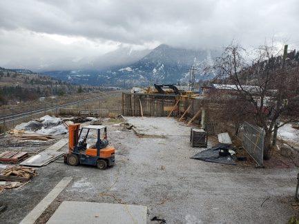Clearing Patio Space Jan2021